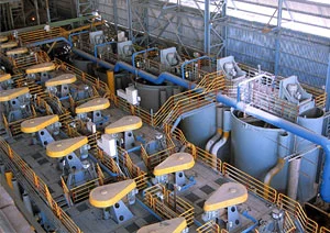 Mineral Processing